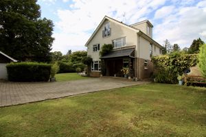 Photo 36- click for photo gallery